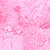 Bubble Gum