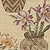 Desert Flower