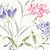Sweet William